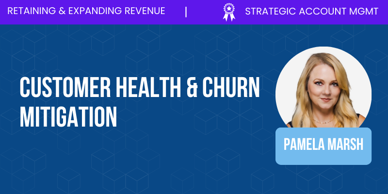 Strategic Account Management_ Customer Health & Churn Mitigation